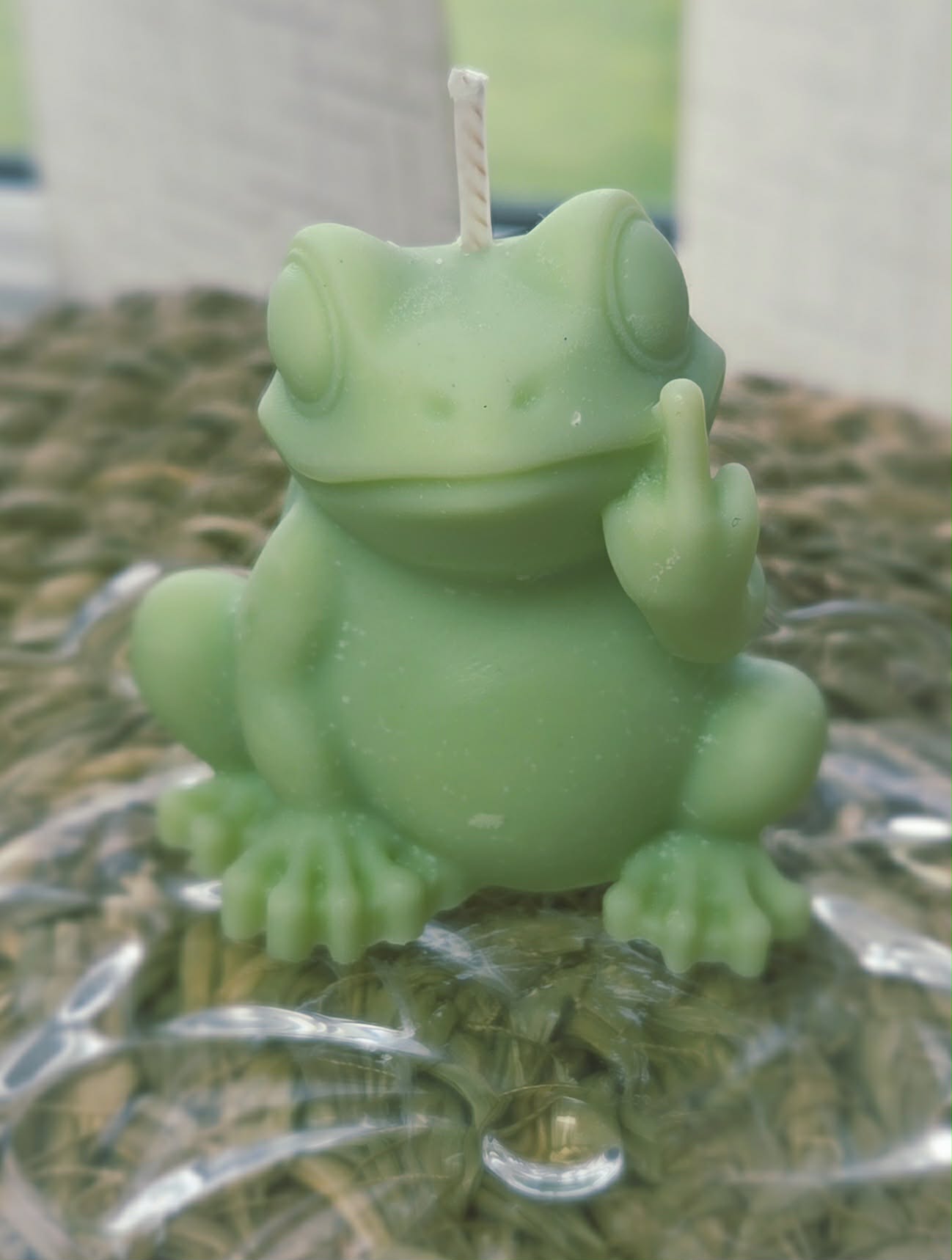 Swearing Frog - Image 2