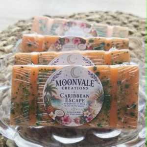 30g Snapbars Spring collection - Caribbean escape